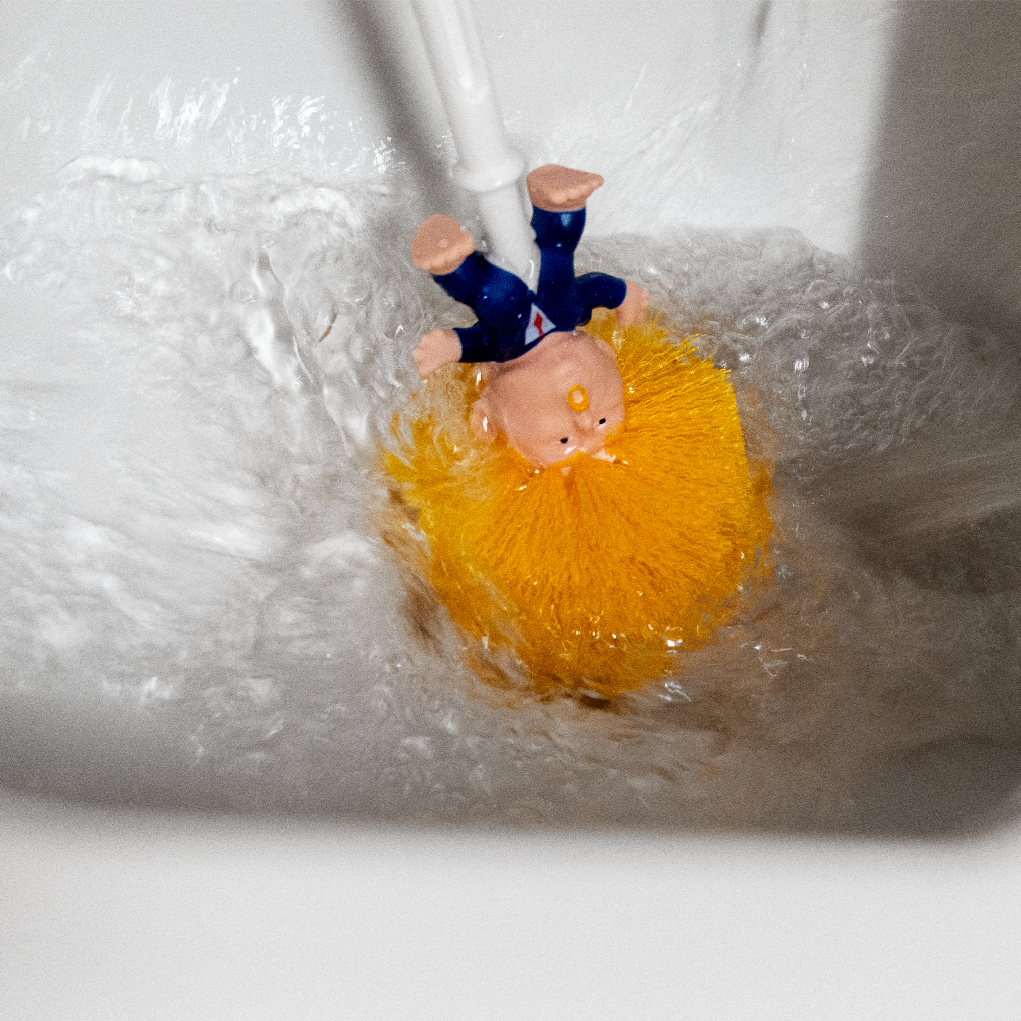 The Presidential Cleaner